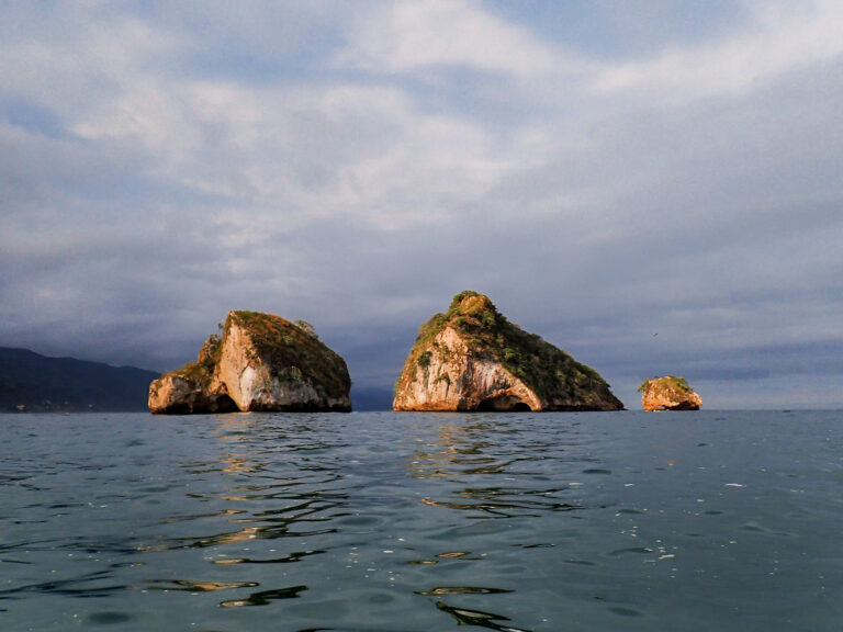 Best Place to Scuba Dive in Puerto Vallarta