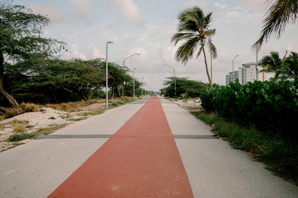 A peaceful walking and biking path in Aruba, lined with palm trees and tropical greenery, featuring a bold red center lane that stretches into the distance—ideal for a scenic jog, bike ride, or sunset stroll near the coast.