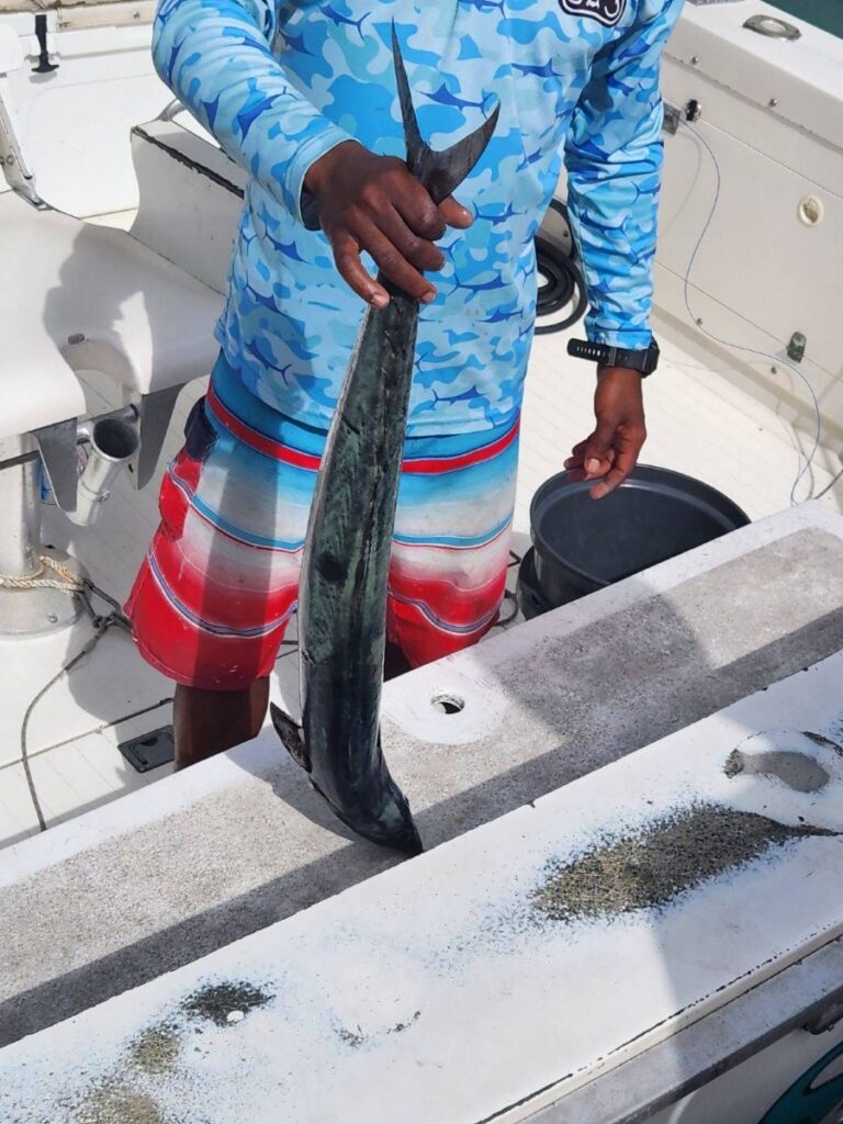 A fisherman aboard a charter boat in Aruba proudly holds up a freshly caught fish by the tail, showcasing the day’s catch against a backdrop of white deck flooring, fishing gear, and a bucket ready for cleaning.